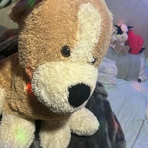 I am selling this bc it is to big and I need more room